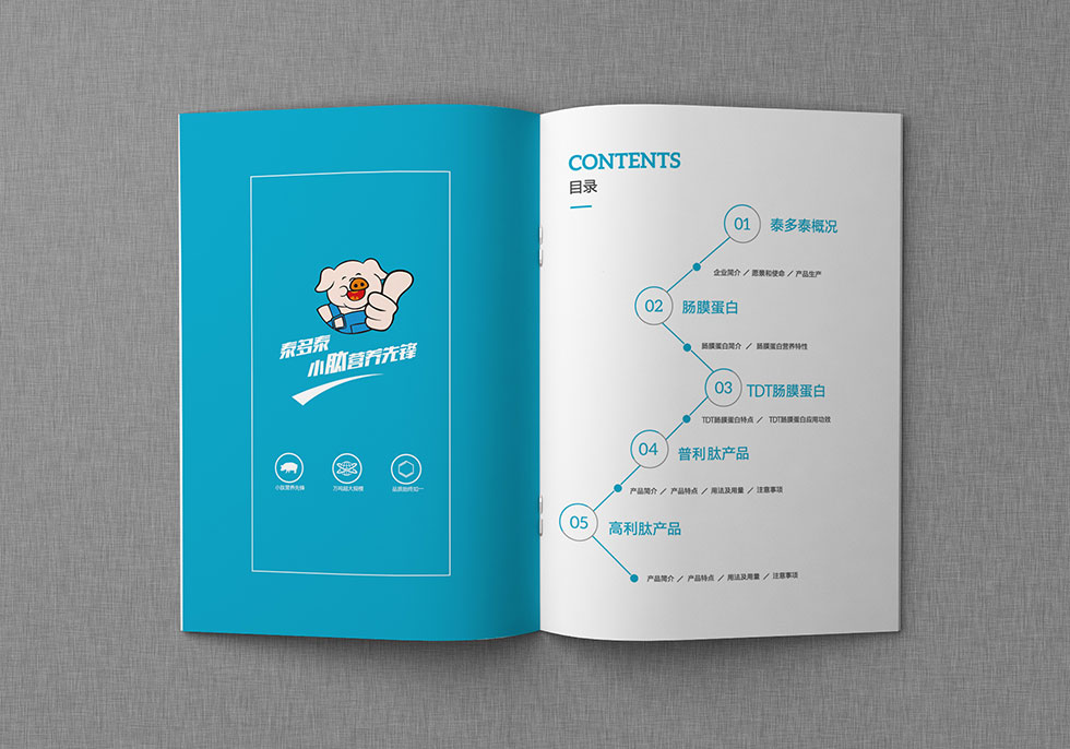 武漢畫冊設(shè)計公司